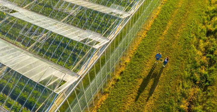 An aerial view of two people walking next to a large industrial greenhouse. 