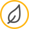 Leaf icon
