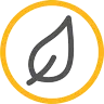 Leaf icon