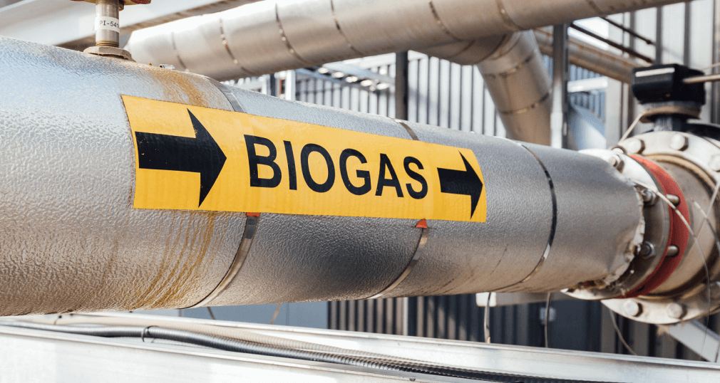 Large gas pipe labeled as biogas.