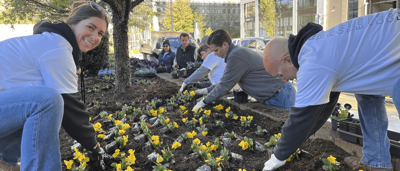 Enbridge Employees planting the plants in the garden