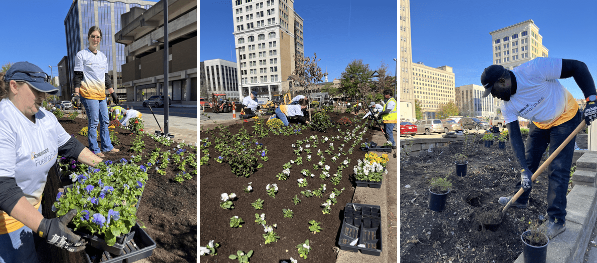 Enbridge employees volunteering in the garden