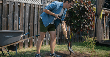 Young man planting a tree in his back yard