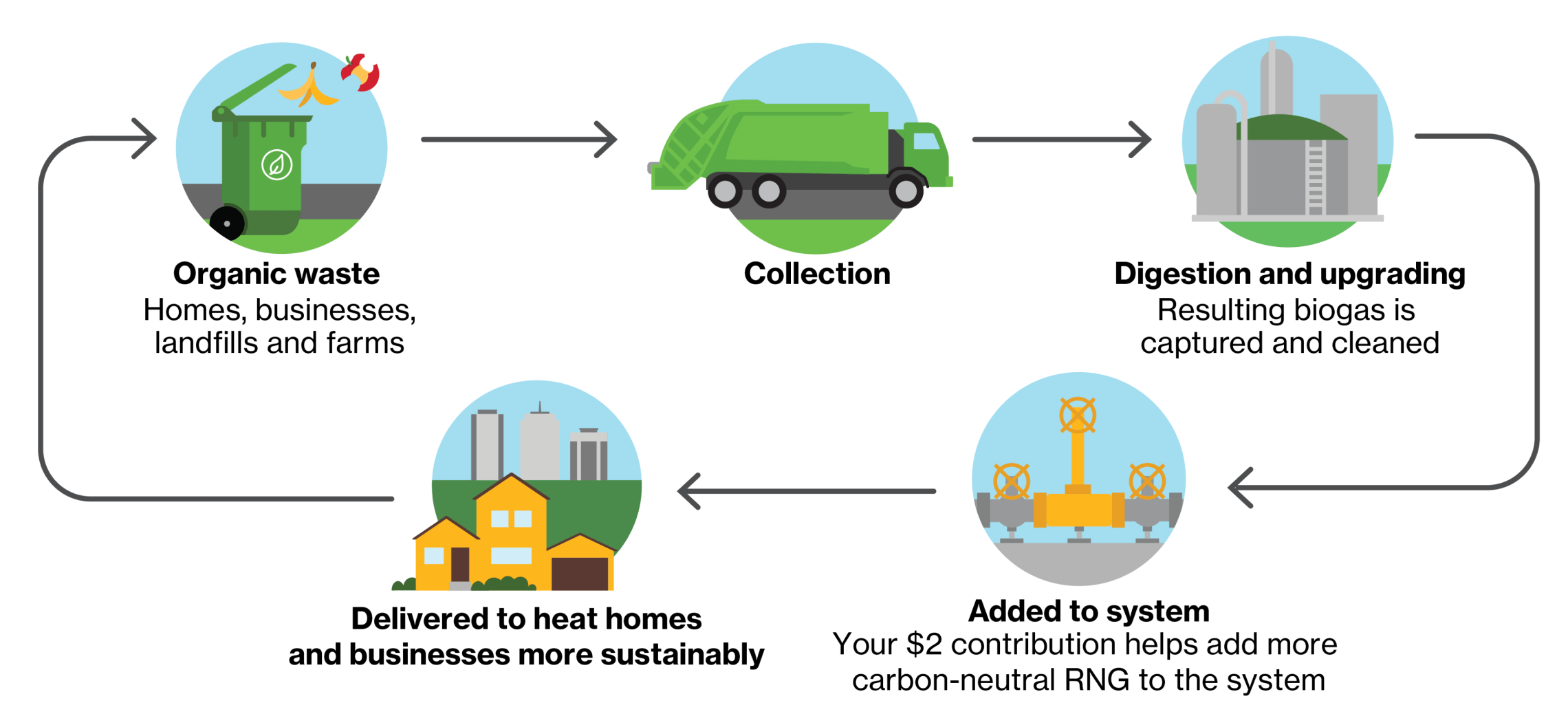 Infographic representing the cyclical process of making RNG, from organic waste, through digesting and upgrading, to being added to the natural gas sytem.