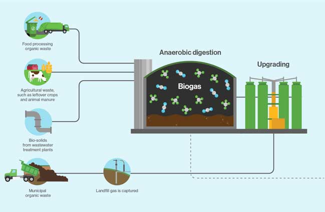 Infographic detailing the cycle process of RNG; starting as organic waste being digested and upgraded, then added to the system as RNG for use heating homes and businesses