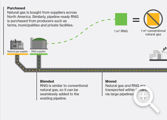 Infographic showing how purchased natural gas continues through our system and distributed to homes and businesses