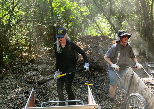 Enbridge Gas employees volunteering at Houston Arboretum