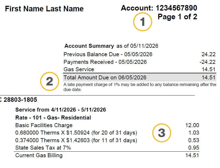 Snippet of Enbridge Gas bill - billing and payment summary