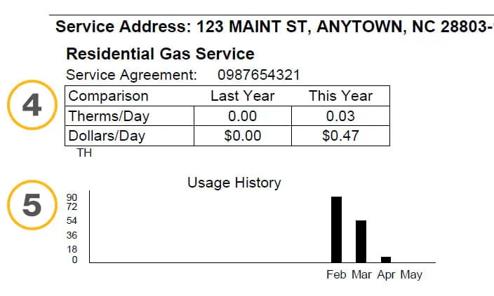 Snippet of Enbridge Gas bill - Meter and usage