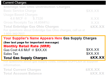 Monthly Retail Rate Bill Screenshot