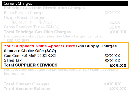 Showing where Standard Choice Offer appears on your bill