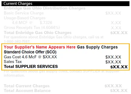 Standard Choice Offer Bill Screenshot
