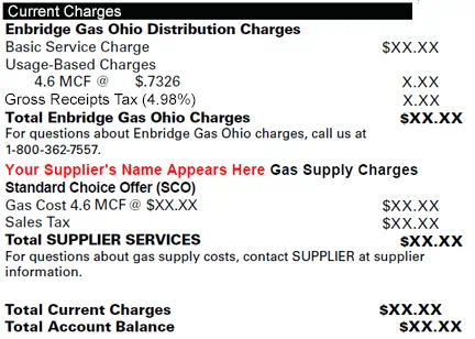 Showing where Standard Choice Offer appears on your bill