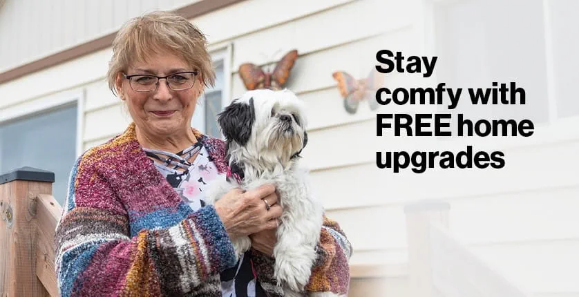 Stay comfy with free home upgrades