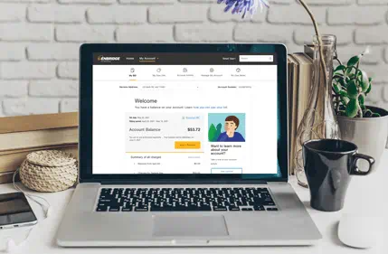 A laptop showing My Account website on the screen