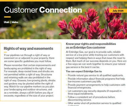 A screenshot of Customer Connection 