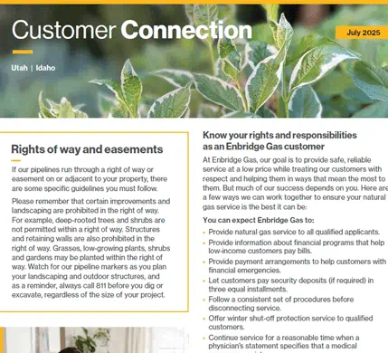 Screenshot of Customer Connection newsletter
