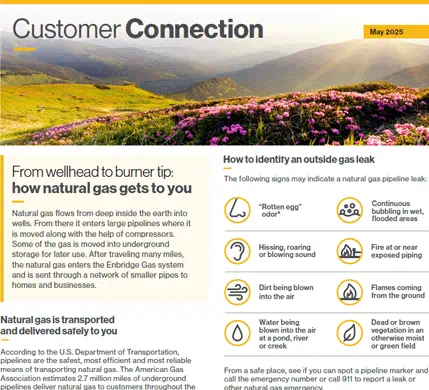Screenshot of Customer Connection newsletter