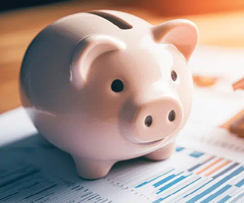 Piggy bank and report